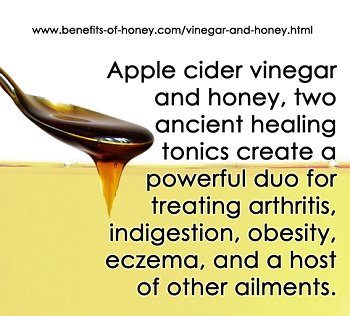 apple cider vinegar and honey image